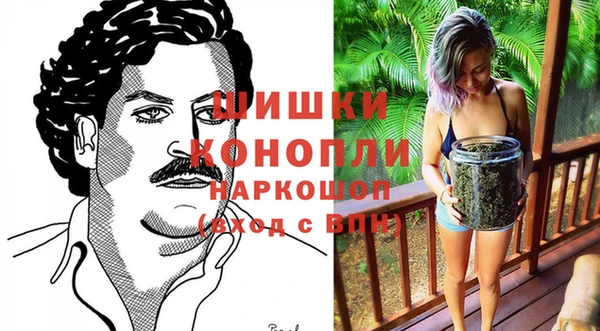 2c-b Михайлов