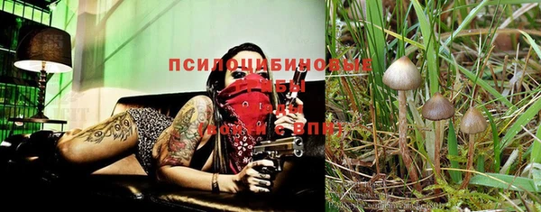 a pvp Аркадак