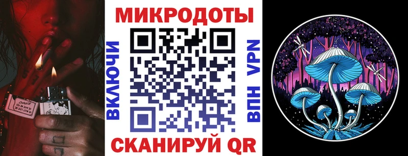 Галлюциногенные грибы Cubensis  гидра tor  Свободный 